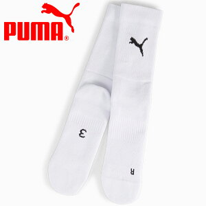 yӍՌX|Cgő20{(2025/11/16 23:59)z XyVvCX [֑ v[} teamGOAL Performance Sock 706119-04 Y