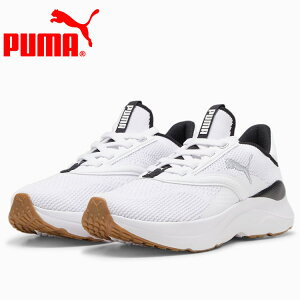 y0̂_tf[48ԌX|Cgő20{(11/30 00:00`12/1 23:59)z XyVvCX v[} SOFTRIDE Cu EBY 310160-02 fB[XV[Y