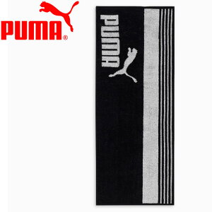 yX[p[Z[ԌX|Cgő20{(12/11 1:59)z XyVvCX v[} {bNX^IN2 054873-01 yn著z