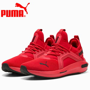 y΂̓X|Cgő20{(11/18 00:00`23:59)z v[} SOFTRIDE G] 5 311098-10 YV[Y