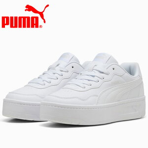 y3ԌX|Cgő20{(2025/10/30 00:00`11/1 23:59)z XyVvCX v[} R[g [ XJC 400368-01 fB[XV[Y