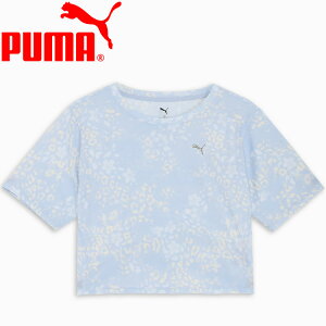 NAX yԕisz[֑ v[} TRN EDGE SS TVc 527021-47 fB[X yMD4z