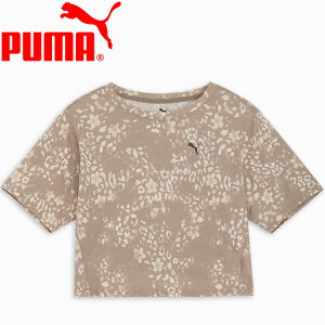 NAX yԕisz[֑ v[} TRN EDGE SS TVc 527021-83 fB[X yMD4z