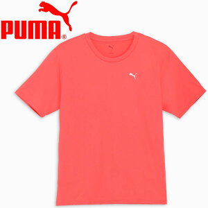 XyVvCX [֑ v[} TAD OVERSIZE SS TVc 527034-24 fB[X