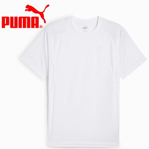 yX[p[Z[ԌX|Cgő20{(12/4 20:00`)z XyVvCX [֑ v[} RUN VELOCITY TVc 527238-02 Y