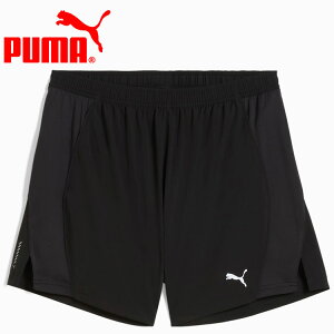 yX[p[Z[ԌX|Cgő20{(12/11 1:59)z XyVvCX [֑ v[} RUN VELOCITY 5 V[c 527255-01 Y