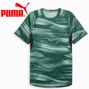 XyVvCX [֑ v[} RUN VELOCITY AOP TVc Y 527297-30 Y