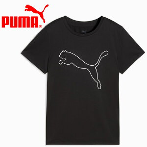 y3ԌX|Cgő20{(2025/10/30 00:00`11/1 23:59)z XyVvCX v[} TAD ESSENTIAL CF LOGO TVc 527332-01 fB[X