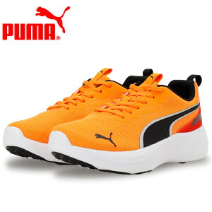 �y���|�C���g�o�b�N�Ռ���X���|�C���g�ő�20�{(12/15 23:59��)�z���������X�y�V�����v���C�X �v�[�} �X�s�[�h �����X�^�[ V5 PL 311163-11 �W���j�A�V���[�Y