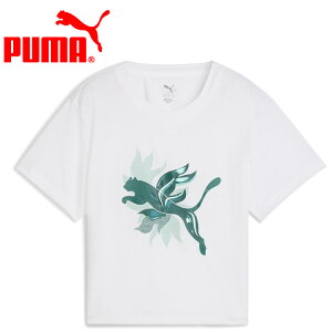 y}\X|Cgő20{(2025/11/11 1:59)z XyVvCX [֑ v[} W GREEN TERRAINS FASHION GRAPHIC TEE 528078-02 fB[X