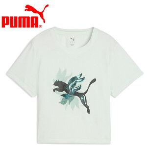 【お買い物マラソン限定店内ポイント最大20倍(2025/10/24 20:00〜)】 お買い得スペシャルプライス メール便送料無料 プーマ W GREEN TERRAINS FASHION GRAPHIC TEE 528078-46 レディース