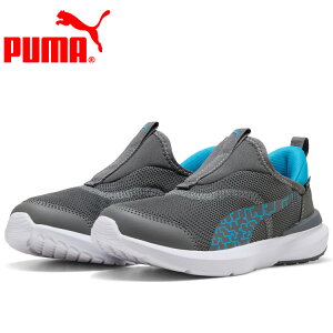 y΂̓X|Cgő20{(11/18 00:00`23:59)z XyVvCX v[} N[Y PROFOAM EASE IN TCo[ PS 403218-02 WjAV[Y