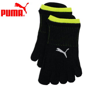 XyVvCX v[} jO5zr\bNX 692595-02 yn著z