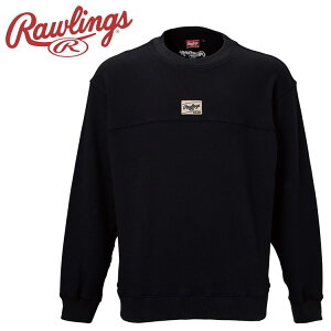 y}\X|Cgő20{(2025/10/17 9:59)z XyVvCX [OX Rawlings EPXEFbgvI[o[N[ AOS15F05-B
