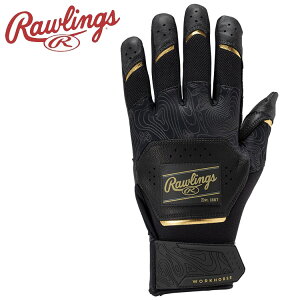 yubNtCf[X|Cgő20{(11/27 1:59z XyVvCX [֑ [OX Rawlings 2025 Workhorse obeBOOu WH25BG-B