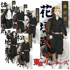 yX[p[Z[ԌX|Cgő20{(12/11 1:59)z XyVvCX [֑ xW[Y ObY X|[c^I 34×80cm