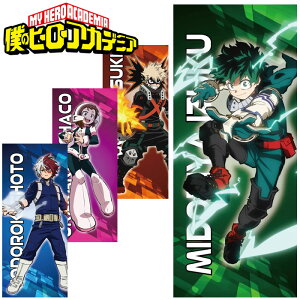 XyVvCX [֑ l̃q[[AJf~A qAJ ObY X|[c^I 34×80cm