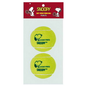 y}\X|Cgő20{(2025/11/11 1:59)z TNCf dejX{[ 2P SKR-SN-450