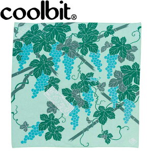 y0̂_tf[48ԌX|Cgő20{(11/30 00:00`12/1 23:59)z [֑ N[rbg ₵ N[nJ`(ΕI) HCHGGR