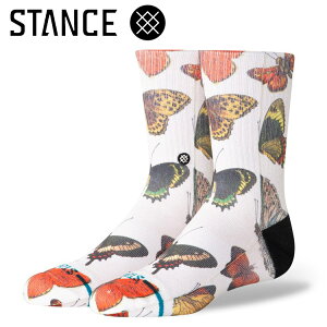 �N���A�����X �y�ԕi�s�z ���[���֑������� �X�^���X KIDS FLUTTERBY CREW K556A25FBCCVS �W���j�A