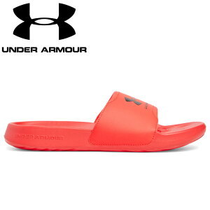 yӍՌX|Cgő20{(2025/11/16 23:59)z XyVvCX A_[A[}[ UACOiCg ZNg 3027219-713 YV[Y yn著z