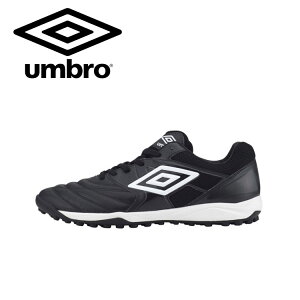 y0̂_tf[48ԌX|Cgő20{(11/30 00:00`12/1 23:59)z XyVvCX Au tbgT V[Y ANZC^[TR WIDE LE Y fB[X 