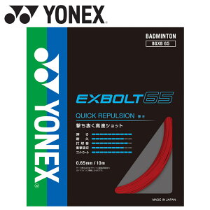 yӍՌX|Cgő20{(2025/11/16 23:59)z XyVvCX [֑ lbNX Yonex GNX{g65 BGXB65-001 oh~g XgO