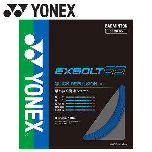 yӍՌX|Cgő20{(2025/11/16 23:59)z XyVvCX [֑ lbNX Yonex GNX{g65 BGXB65-002 oh~g XgO
