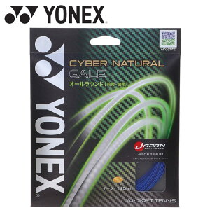 yX[p[Z[ԌX|Cgő20{(12/11 1:59)z XyVvCX [֑ lbNX Yonex TCo[i` QC CSG650GA-599