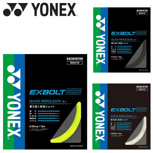 yӍՌX|Cgő20{(2025/11/16 23:59)z XyVvCX [֑ lbNX GNX{g65 oh~g BGXB65