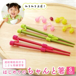 ͂߂Ă̂Ɣ S 18cm g[jO  q  