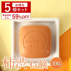 【セット割 54％OFF】 柿渋石鹸 ボディソープ 柿の潤 100g 5個セット 固形 ボディーソープ 柿渋石けん 柿渋 茶エキス デオドラント 体臭ケア 体臭対策 ボディケア 体臭 加齢臭 中年臭 汗臭 わきが 腋臭 ニオイ 足のにおい 汗 身体 体 無添加 メンズ 男性 男性用 女性 高齢者