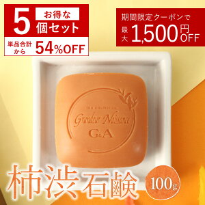 [Zbg54%OFF] `aΌ `a Ō` Ό `Ό ̏L L `a `a΂ 100g 5 {fB\[v {fB[\[v fIhg ` \[v 킫 L΍ j   