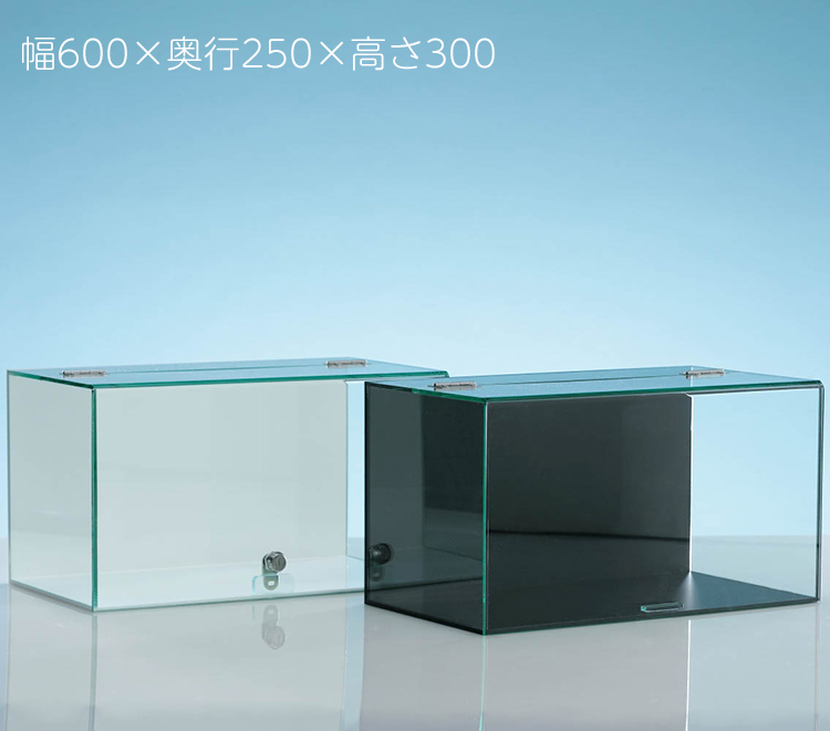 <br>アクリル ウイング式 コレクションケース<br>幅６００ｘ奥行２５０ｘ高さ３００(ｍｍ)<br>背面用ミラー付