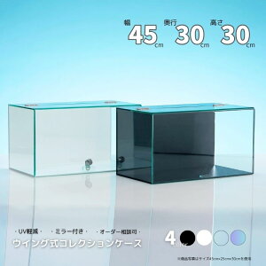 ECO RNVP[X y45cm s30cm 30cm z No.433JMȂ ~[t V[P[X ANP[X WP[X KEBO  {  ubN zCg  NA 