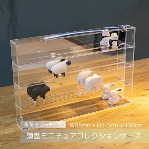 コレクションケース 薄型ミニチュアコレクションケース 【背面ミラータイプ】 アクリルケース 壁掛け 透明 クリア シンプル 幅45cm 奥行5.3cm 高さ30cm ディスプレイケース トミカ 香水 ミニチ