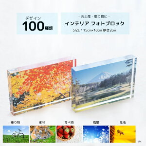 tHgubN CeA AN y100fUCz 15cm×10cm yY όq CoEh Ol {݂₰ 蕨 v[g Mtg xmR  t _ gt { i  C  Y 