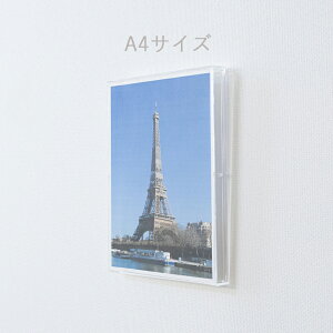 t[X ANsN`[Jo[ A4TCY ANz fbTz ANt[ z AN  Gppl W W A[g Y { ͂  ǖʑ