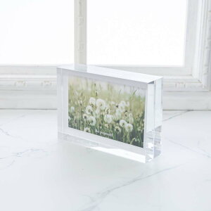 |XgJ[h ͂ fBXvCX^h Ɍ ANX^h UVJbg Oɂ򉻕ϑސFy ANubN A EFJXy[X CeA vo T  