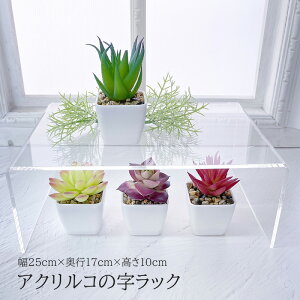 R̎bN AN  25cm s17cm 10cm ȂR̎  NA [  Lb` 䏊 I fXN u VN ʑ䉺 fBXvC W CeA p\R