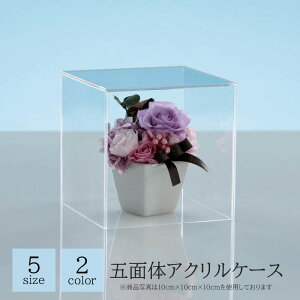 ANP[X Jo[ Oy 򉻌y ܖʑ 5ʑ BOX TCRP[X {P[X ANP[X NAP[X RNVP[X L[u W fBXvC    l