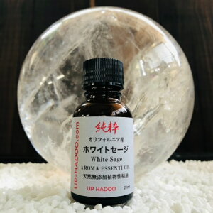 zCgZ[W VR100% A}IC 21ml@GbZVIC