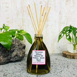 VR100@[hfBt[U[@gЂ̂@159ml @TgELrG^m[@Zkt@@gqmL@w0%