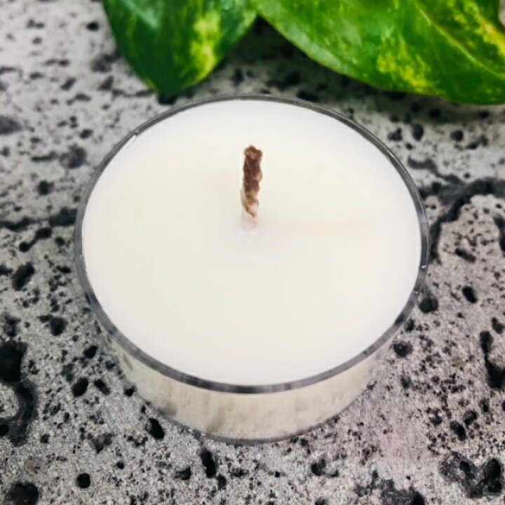 1162円 21新入荷 極上 日本ソイワックス 京抹茶 日本檜皮