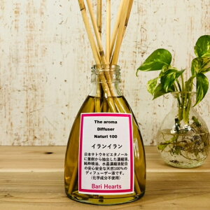 VR100@CC@[hfBt[U[@159ml@i΃V[h@Zkt@@AG^m[@CCZkt