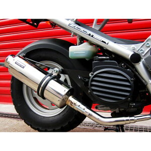 BEAMS SS300 }t[ TCT[ \jbN B109-07-000 r[X }t[{ Y[}[iLuj