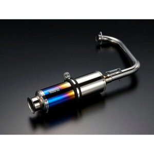 BEAMS SS300 }t[ TCT[ `^ B121-09-000 r[X }t[{ gJuiLuj