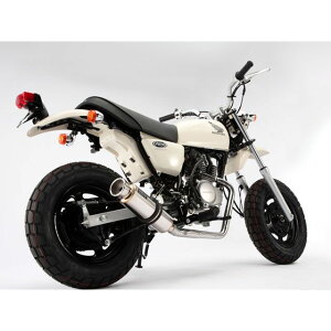 BEAMS SS300 _E^Cv }t[ TCT[ \jbN B129-07-000 r[X }t[{ oCN APE50 Fi