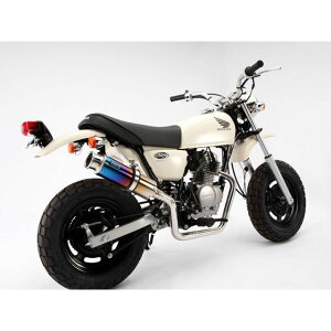 BEAMS SS300 Abv^Cv }t[ TCT[ `^ B129-09-003 r[X }t[{ oCN APE50 Fi