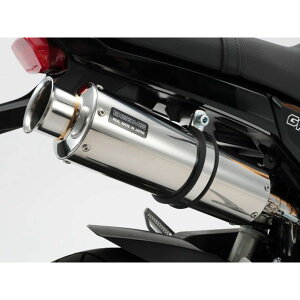 BEAMS SS300 SPiJMCAFj XbvI}t[ TCT[ \jbN G157-07-004 r[X }t[{ O